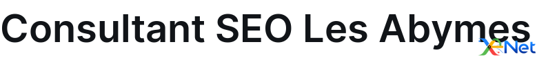 Consultant SEO Les Abymes